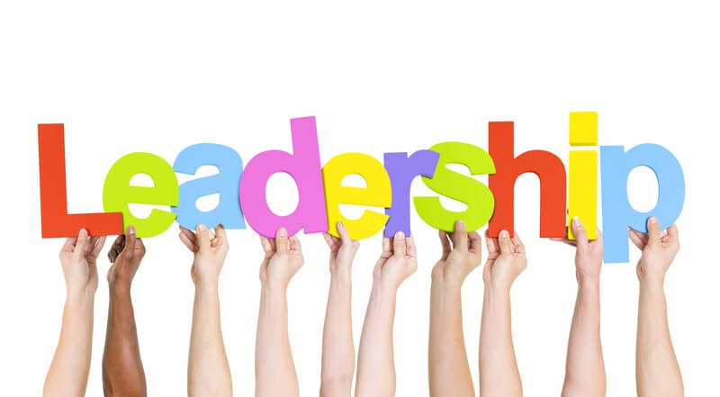 leadership development